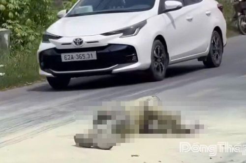 Điều tra nguyên nhân người đàn ông tự thiêu trên tỉnh lộ 869