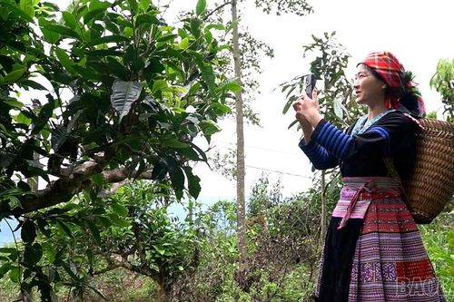 Kể chuyện quê hương trên không gian số