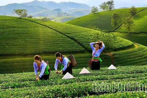 Chuỗi liên kết giá trị - giải pháp phát triển nông nghiệp bền vững