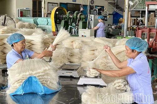 Nâng cao chất lượng sản phẩm OCOP sau công nhận