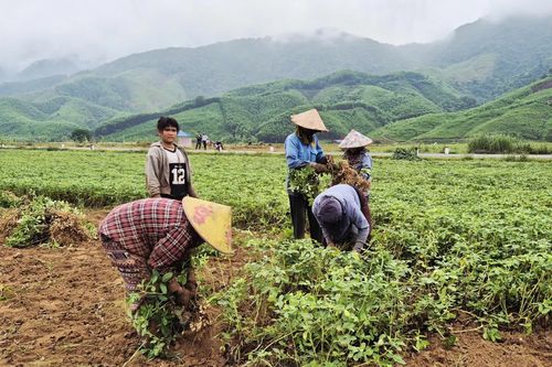 Ba Lòng nâng cao hiệu quả giảm nghèo