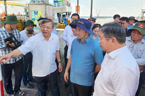 ĐBSCL cần hơn 32.000 tỷ đồng ứng phó sụt lún, sạt lở và hạn mặn