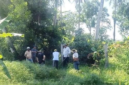 Con chó tấn công 5 người ở phía Đông Đắk Lắk dương tính với virus dại