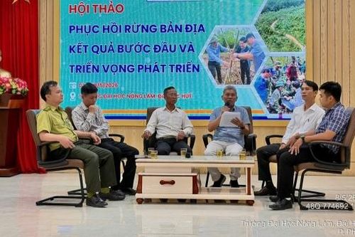 Phục hồi rừng bản địa - những kết quả ban đầu và triển vọng phát triển