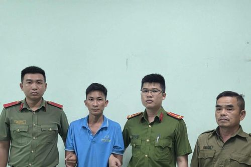 TP Hồ Chí Minh: Tạm giữ đối tượng để điều tra về hành vi 'Hành hạ người khác'