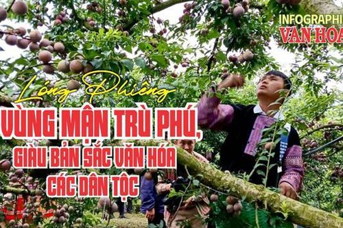 (Infographic) Lóng Phiêng - vùng mận trù phú, giàu bản sắc văn hóa các dân tộc