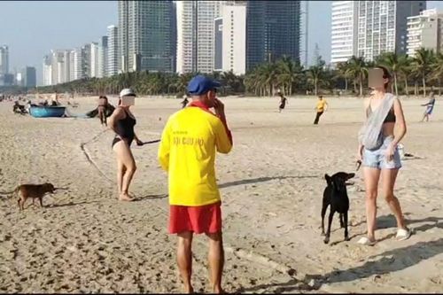 Đà Nẵng chấn chỉnh tình trạng du khách thả chó ở bãi biển
