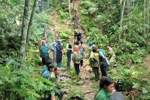Người đàn ông mất tích bí ẩn sau chuyến vào rừng tìm dược liệu ở Tuyên Quang