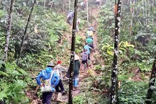 Tuyên Quang huy động 200 người tìm kiếm người mất tích trong rừng