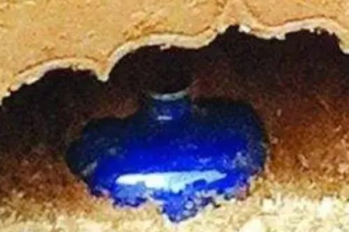 Mộ quan nhà Minh bị trộm sạch, chuyên gia vẫn tìm thấy báu vật gây choáng