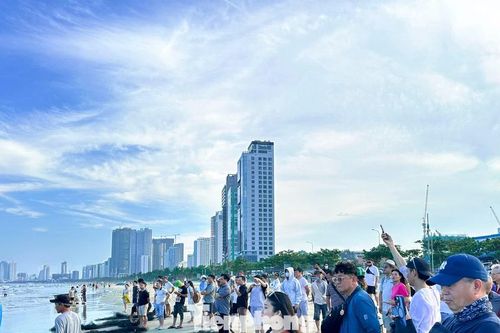 Du khách thích thú xem ngư dân kéo cá trên biển Đà Nẵng