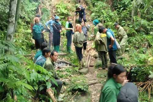 Một người đàn ông mất tích bí ẩn trong rừng ở Tuyên Quang