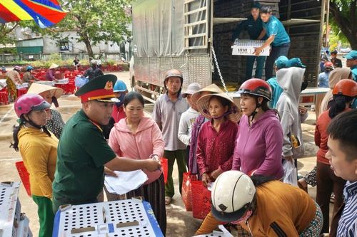 Tiếp sức người dân vùng lũ gây dựng sinh kế