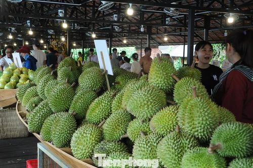 Tuần lễ trái cây miệt vườn quy mô lớn sắp diễn ra tại TPHCM