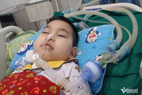 Bé trai 9 tuổi người Tày nguy kịch vì viêm não Nhật Bản, cha mẹ nghèo kiệt quệ