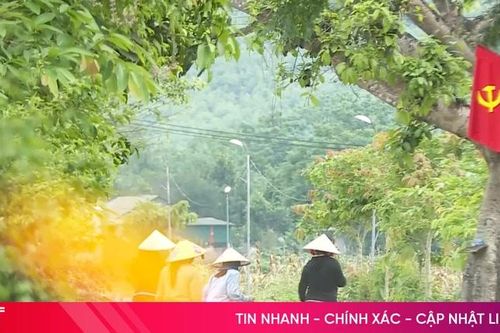 Hương Thọ – Khi sự đồng lòng làm nên miền quê đáng sống