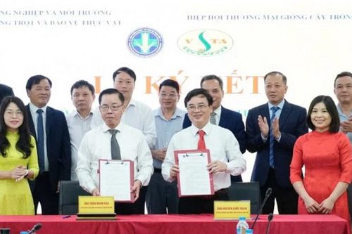 Liên kết '3 trụ cột' đầu vào, hướng tới nền nông nghiệp xanh và bền vững