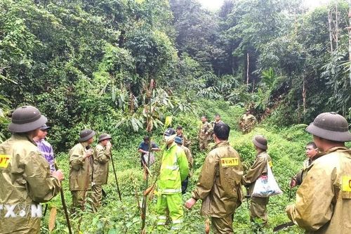300 người khẩn trương tìm người mất tích giữa rừng sâu Bắc Quang