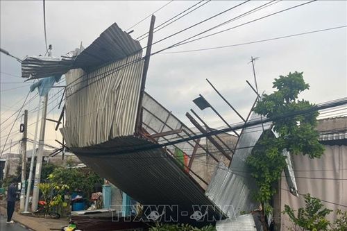 Dông lốc làm sập và tốc mái 47 căn nhà ở Đồng Tháp