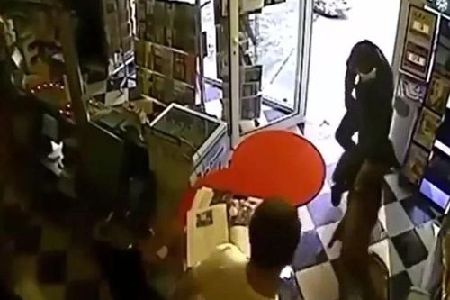 Chó dũng cảm lao vào tấn công cướp có súng, cứu chủ