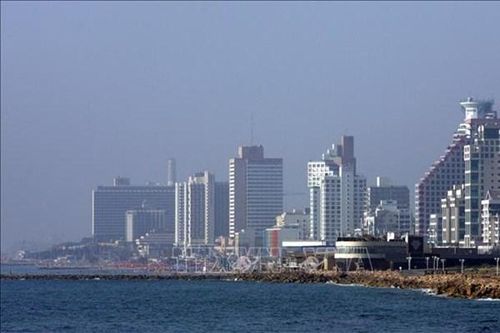 Israel phát triển 'tường cây thông minh' giúp giảm ô nhiễm