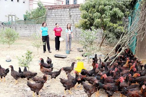 Duy trì nguồn lực hỗ trợ để phát triển