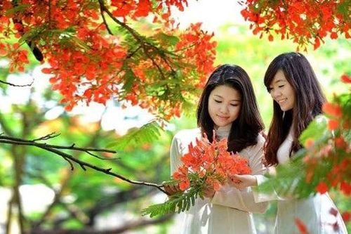 Hạ về