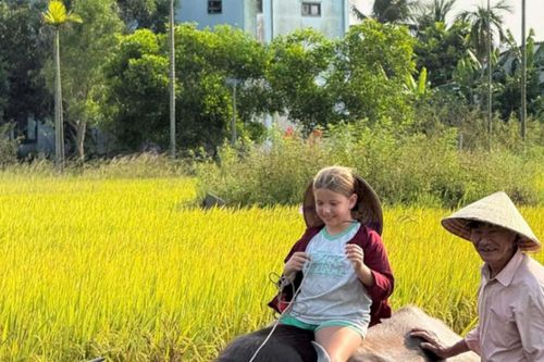 Sướng như... trâu