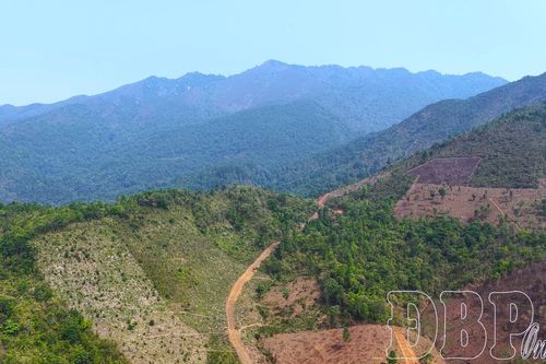 Giữ rừng như hơi thở