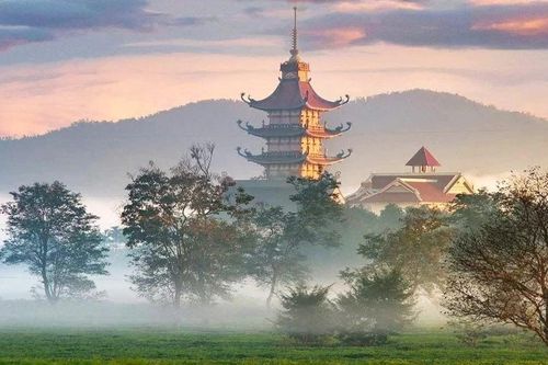 Giữ hương chè Biển Hồ