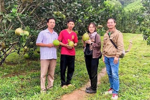 Tổ hội nghề nghiệp: 'Bệ phóng' kinh tế ở cơ sở
