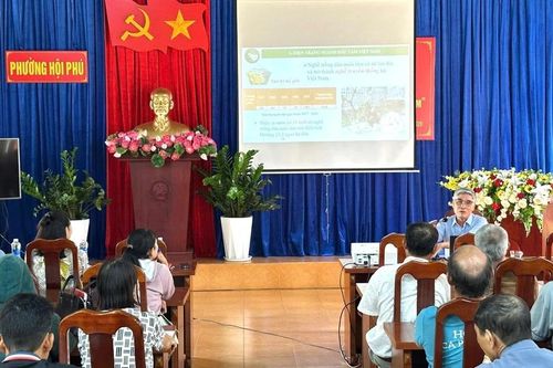 Hội Nông dân phường Hội Phú đồng hành cùng nông dân phát triển mô hình trồng dâu, nuôi tằm
