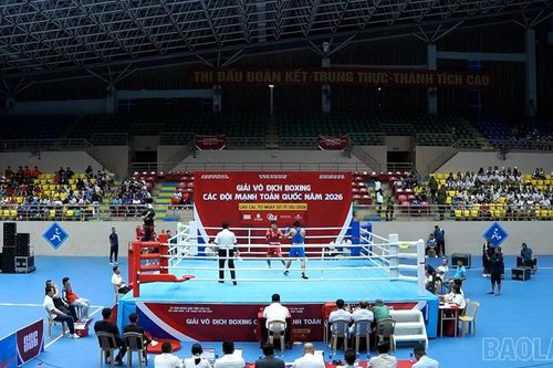 Khai mạc Giải vô địch Boxing các đội mạnh toàn quốc năm 2026