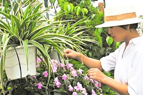 Duy trì lối sống văn hóa xanh