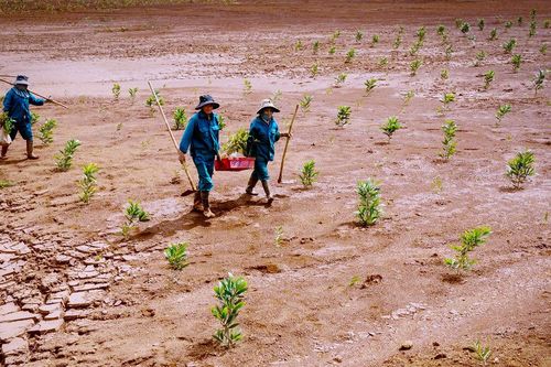 Lâm Đồng hướng tới mô hình tăng trưởng xanh