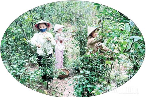 Thúc đẩy không gian khởi nghiệp sáng tạo cộng đồng