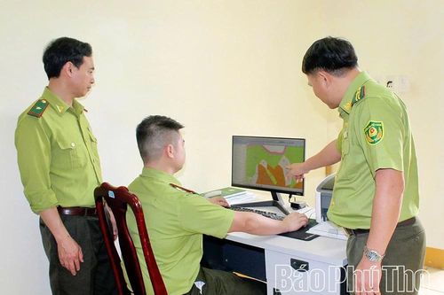 Hiệu quả từ những 'mắt thần' giữ rừng