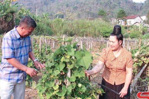 Đồng hành cùng phụ nữ làm chủ kinh tế, làm chủ cuộc sống