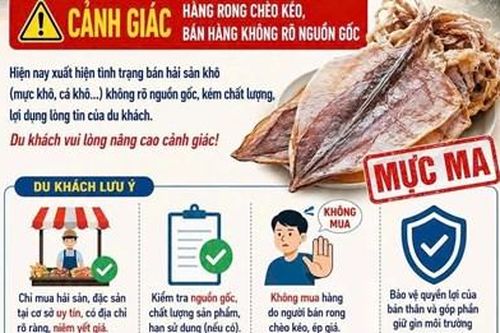 Sẽ xác minh, kiểm tra tình trạng buôn bán mực không rõ nguồn gốc