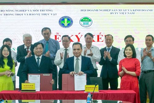 Cục Trồng trọt và Bảo vệ thực vật hợp tác với 3 hiệp hội, phát triển thị trường vật tư nông nghiệp minh bạch