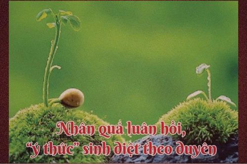 Nhân quả luân hồi, 'ý thức' sinh diệt theo duyên