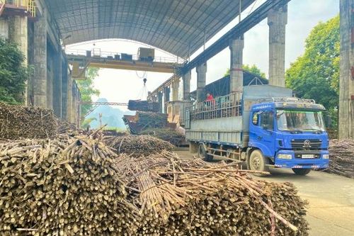 Liên kết sản xuất theo chuỗi giá trị – nâng tầm sản phẩm địa phương