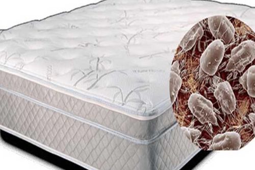 Những dấu hiệu sức khỏe nhận biết bạn cần thay nệm mới