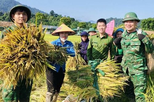 Công an, bộ đội dầm mưa giúp dân cứu lúa sau dông lốc ở Nghệ An