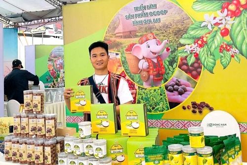 Gia Lai: Tăng cường quảng bá sản phẩm OCOP và đặc sản địa phương phục vụ Năm Du lịch quốc gia 2026