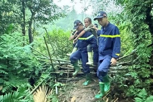 Đã tìm thấy người đàn ông mất tích sau hơn 70 giờ lạc trong rừng