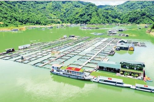 Động lực mới cho tăng trưởng ngành thủy sản