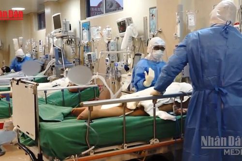 [Video] Chile: Số ca nhiễm virus Hanta gia tăng, tỷ lệ tử vong hơn 30%