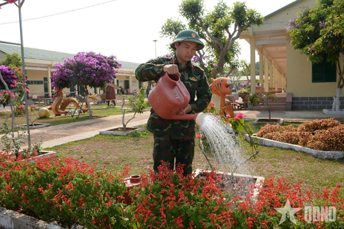 Đoàn Mang Yang - không gian xanh mát giữa lưng đèo