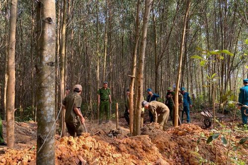 Lấp nhiều hố đào vàng trái phép